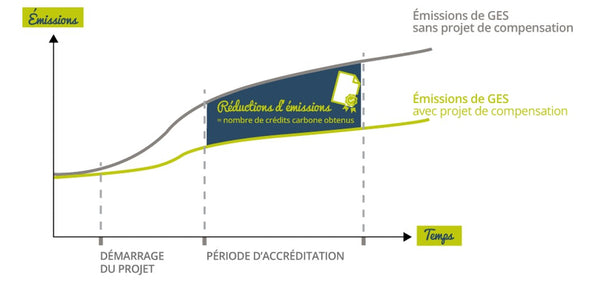 Compenser votre bilan carbone